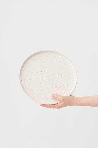 DUST LARGE PLATE