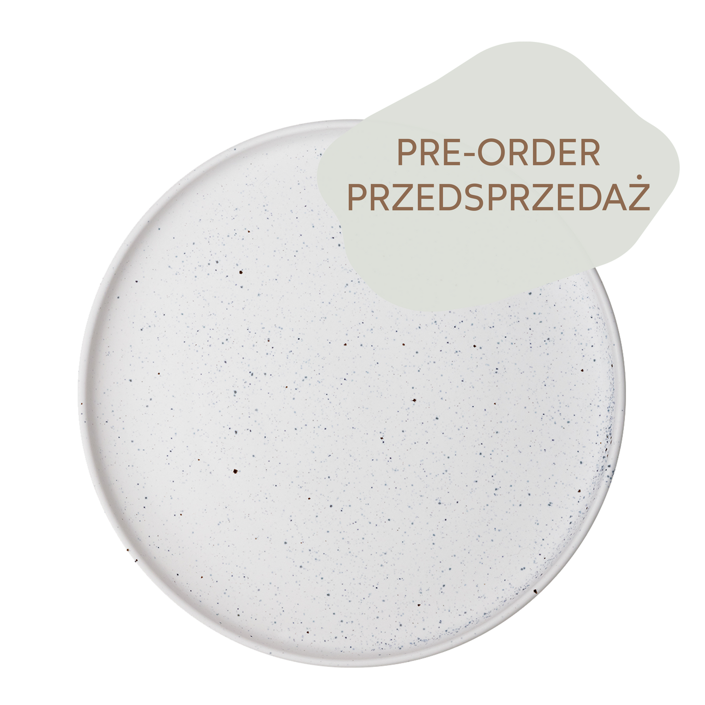 SALT LARGE PLATE