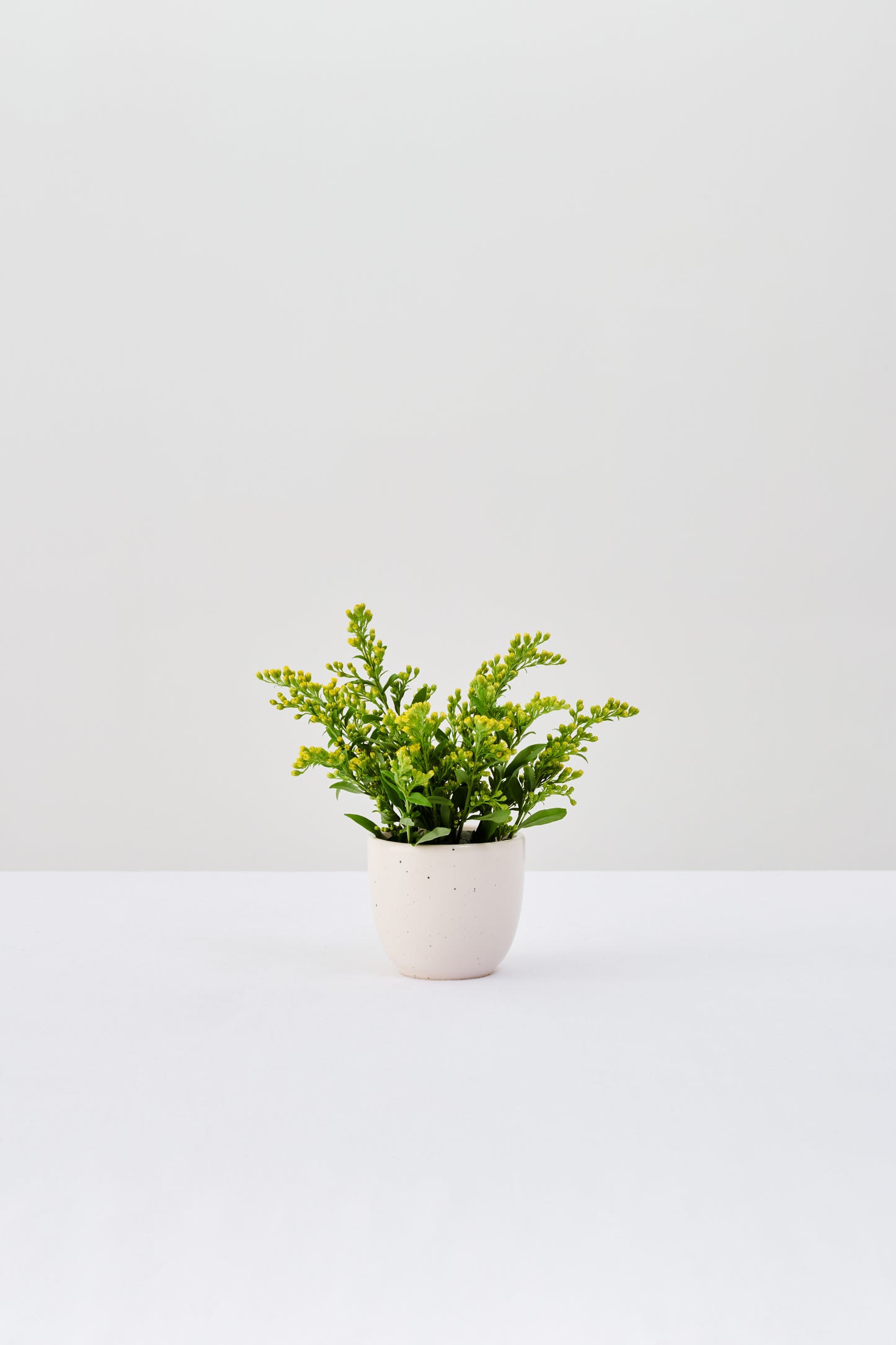 OUTLET MUG A 170 ML