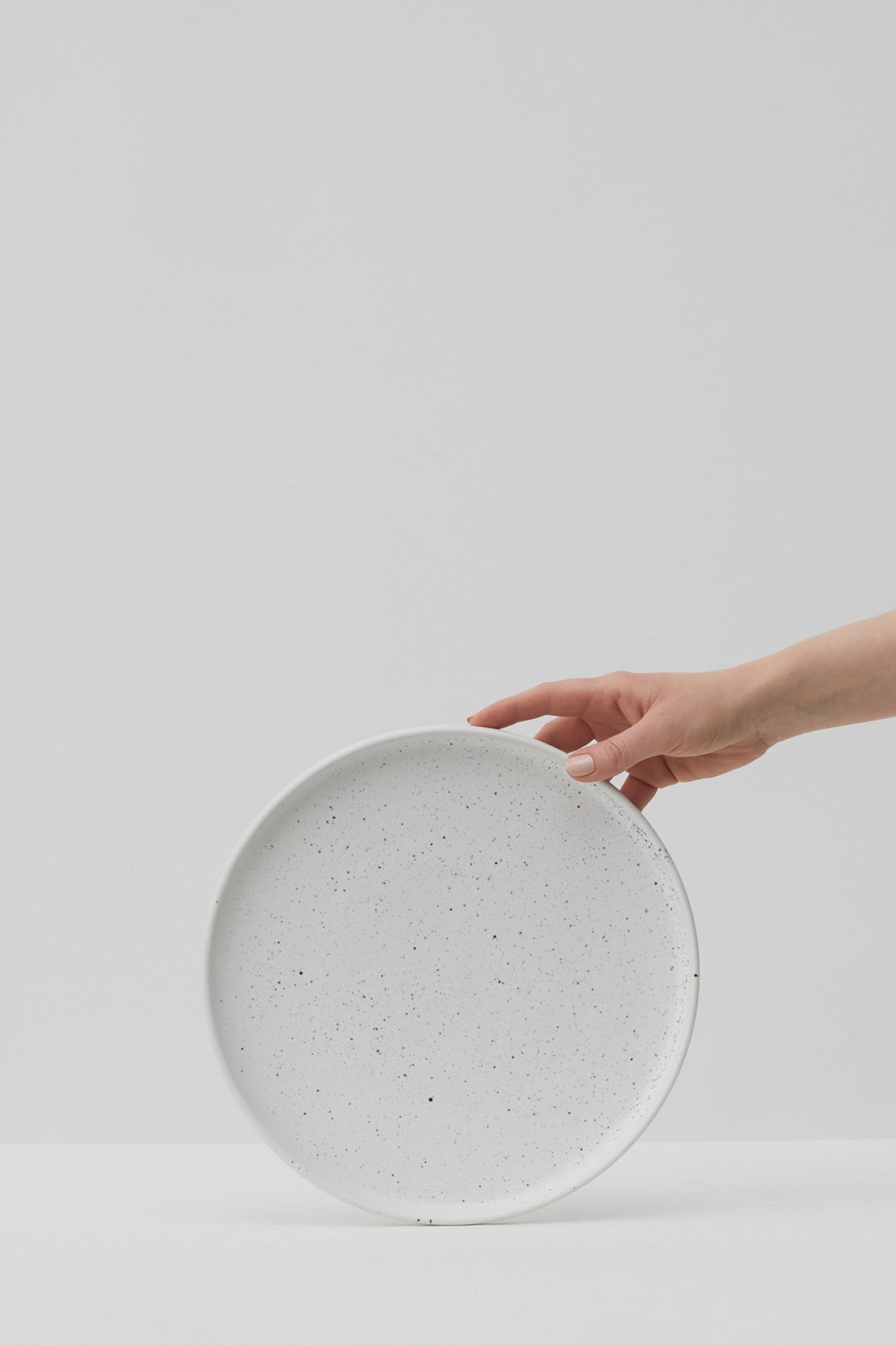 SALT LARGE PLATE